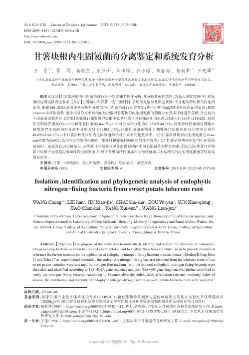 甘薯块根内生固氮菌的分离鉴定和系统发育分析