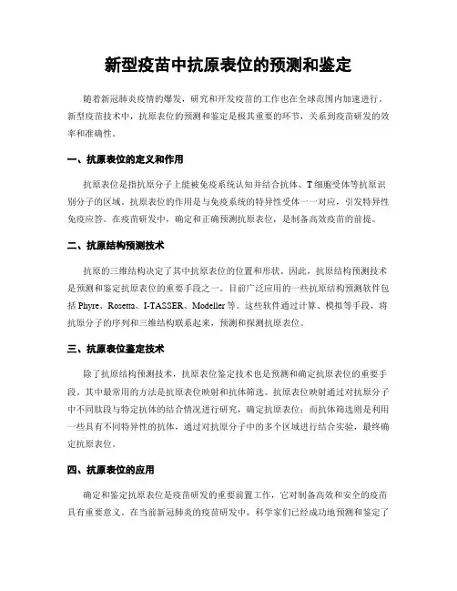 新型疫苗中抗原表位的预测和鉴定