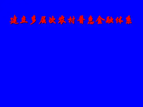 建立多层次农村普惠金融体系PPT课件