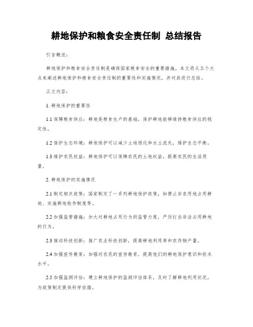 耕地保护和粮食安全责任制 总结报告 (2)