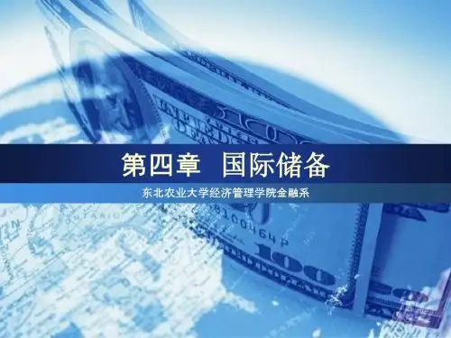 4国际储备解析