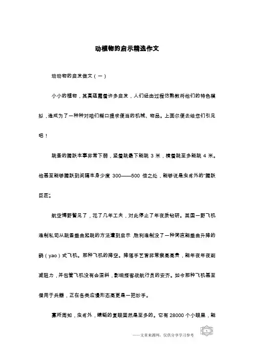 动植物的启示精选作文