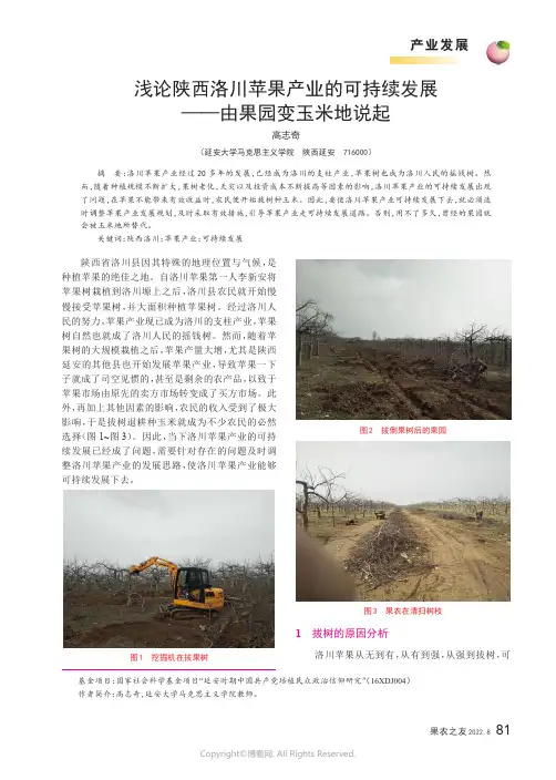 浅论陕西洛川苹果产业的可持续发展——由果园变玉米地说起