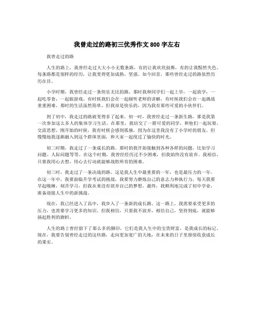 我曾走过的路初三优秀作文800字左右