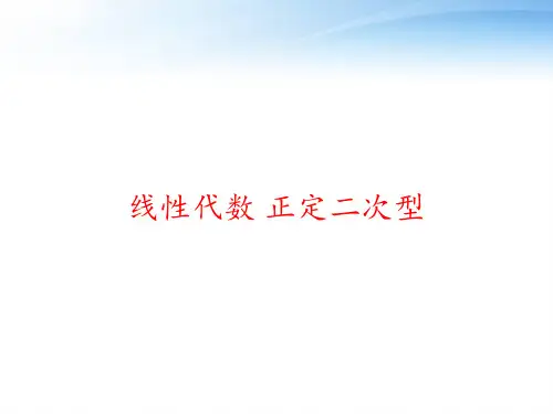 线性代数 正定二次型 ppt课件