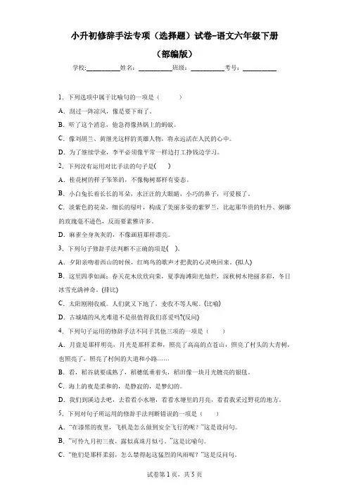 小升初修辞手法专项(选择题)(试题)-部编版语文六年级下册