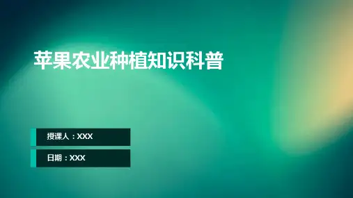 苹果农业种植知识科普PPT教学课件