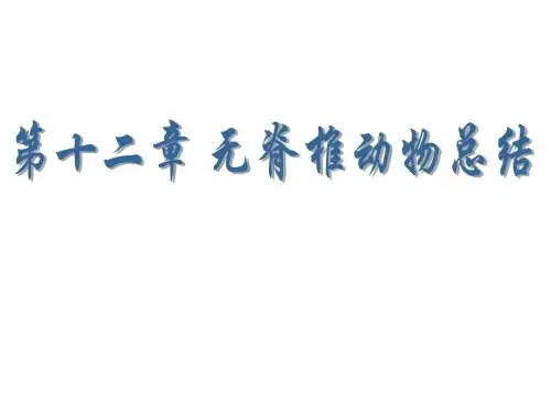 第十二章 无脊椎动物总结
