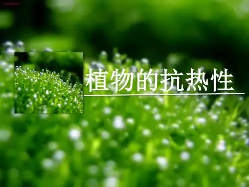 植物的抗热性