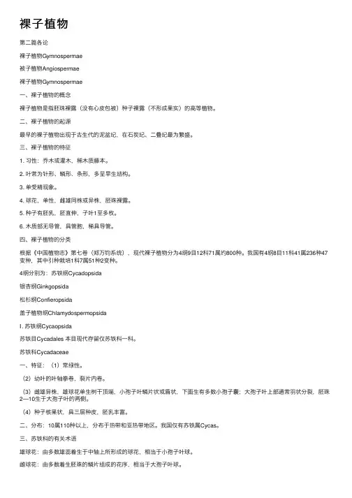 裸子植物——精选推荐