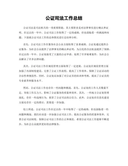 公证司法工作总结