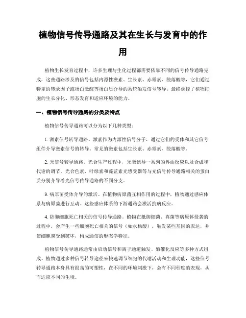植物信号传导通路及其在生长与发育中的作用