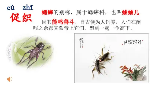 三年级上册语文课件 -4.古诗三首-夜书所见_人教部编版(共18张PPT)