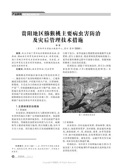 贵阳地区猕猴桃主要病虫害防治及灾后管理技术措施