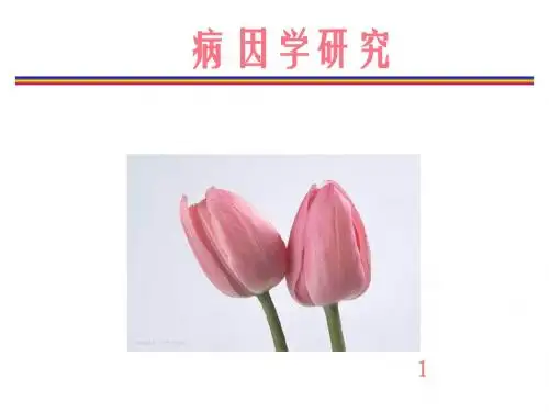 病因学研究