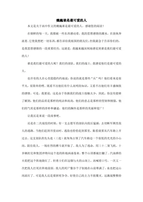 魏巍谁是最可爱的人_高中作文