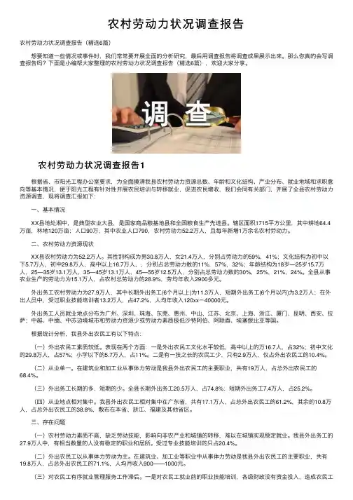 农村劳动力状况调查报告