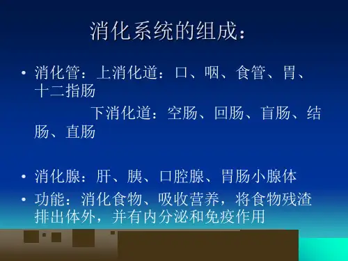 人体解剖学课件第八章消化系统-PPT课件