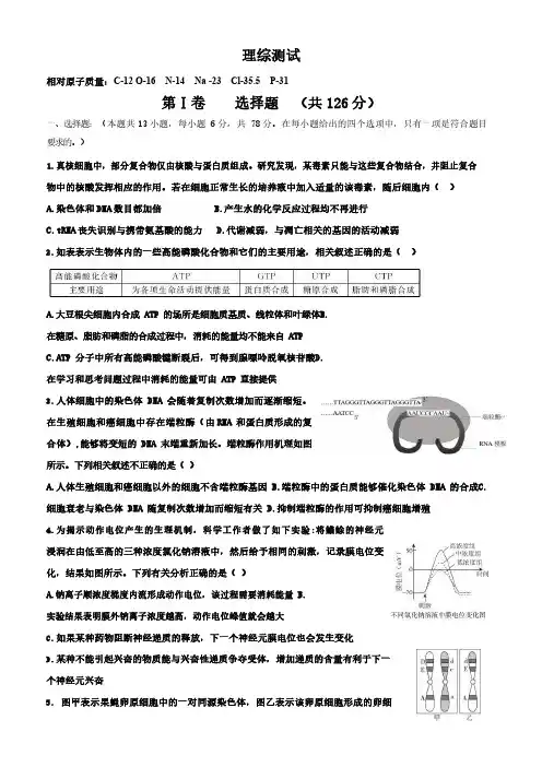 衡水中学第七次调研卷-理综