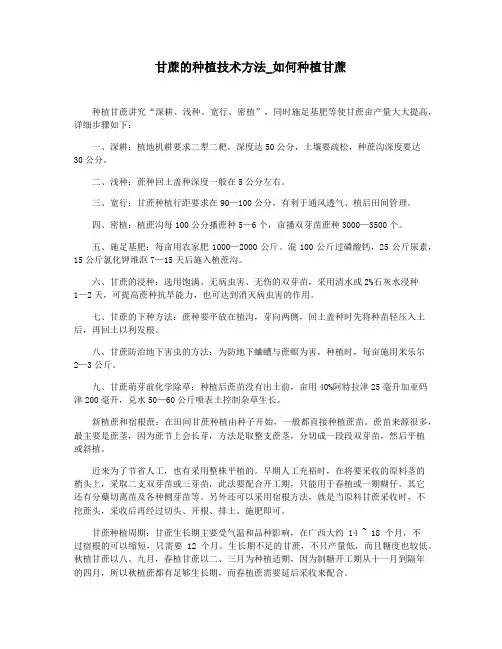 甘蔗的种植技术方法_如何种植甘蔗