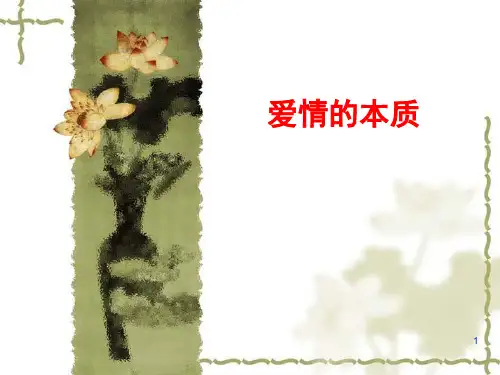爱情的本质PPT课件