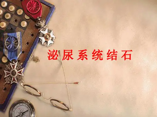 泌尿系结石的诊治