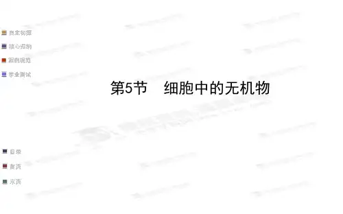 必修1第2章  第5节 细胞中的无机物