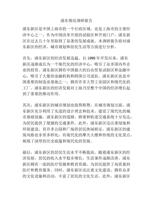 浦东情况调研报告