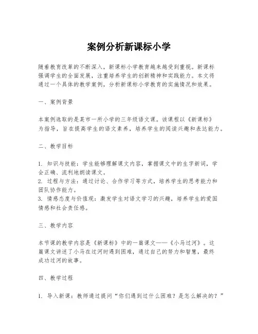 案例分析新课标小学