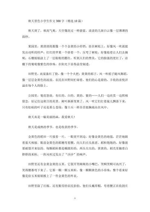 秋天景色小学生作文300字(精选10篇)(最新)
