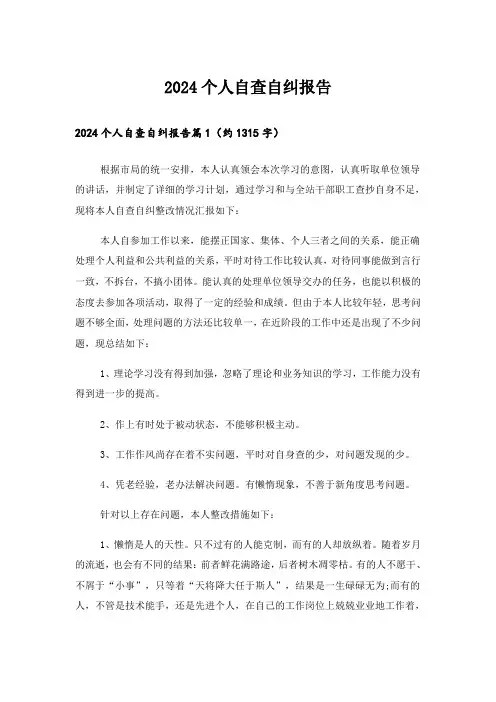 2024个人自查自纠报告
