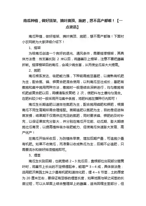 南瓜种植，做好搭架、摘叶摘顶、施肥，想不高产都难！【一点资讯】