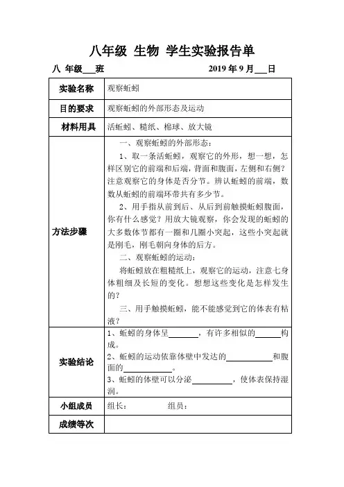 观察蚯蚓  实验报告单