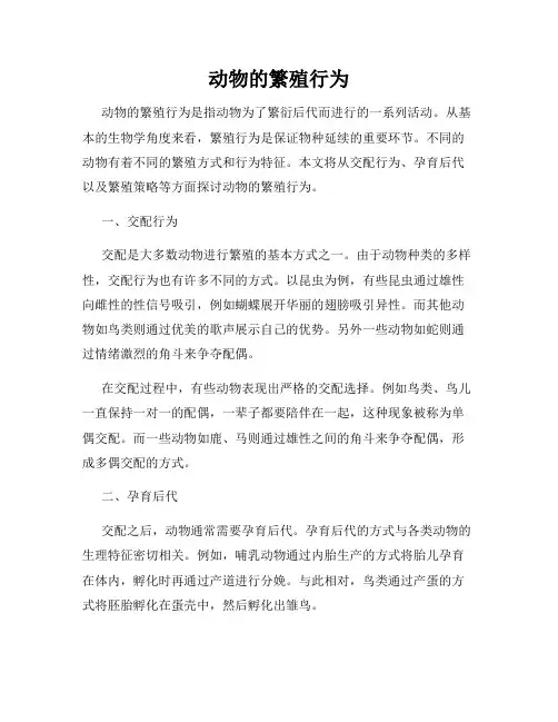 动物的繁殖行为
