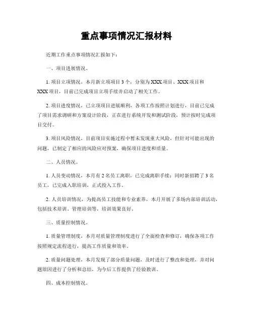 重点事项情况汇报材料
