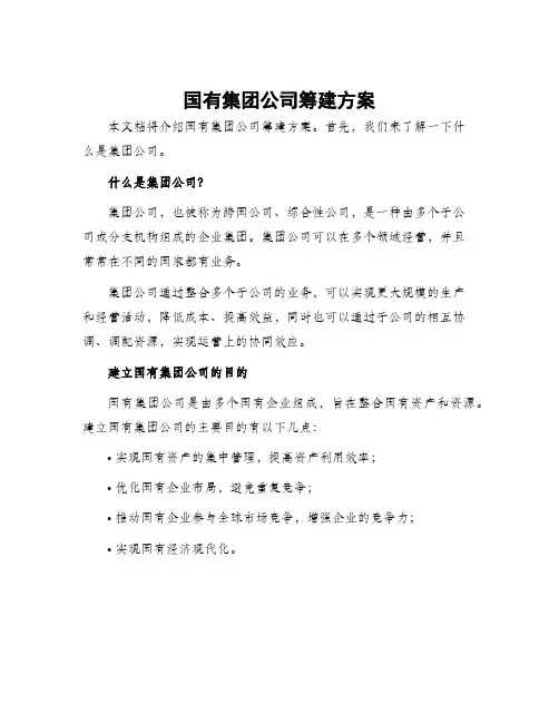 国有集团公司筹建方案