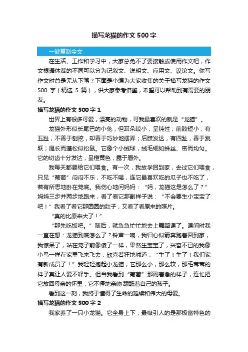 关于描写龙猫的作文500字（精选5篇）