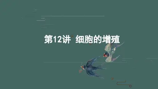 细胞的增殖-2023年高考生物一轮复习课件(全国通用)