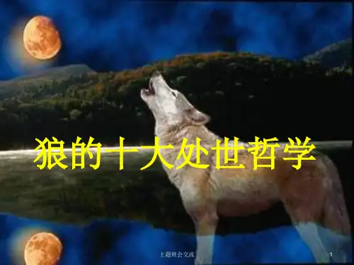 中学主题班会 狼的十大处世哲学