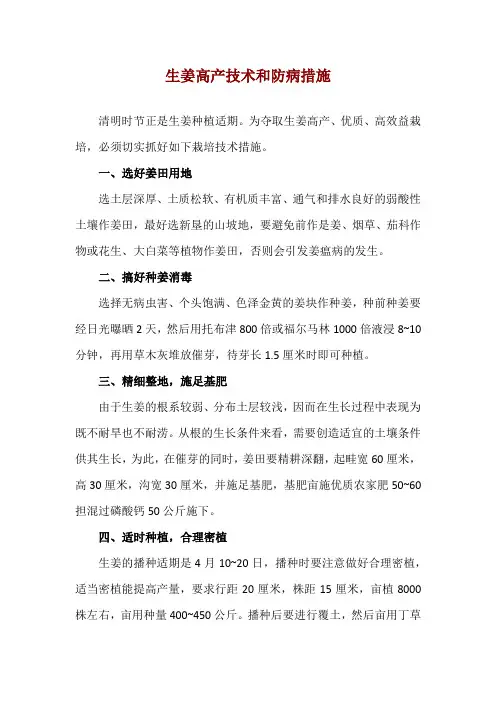 生姜高产技术和防病措施