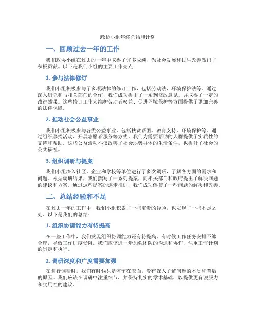政协小组年终总结和计划