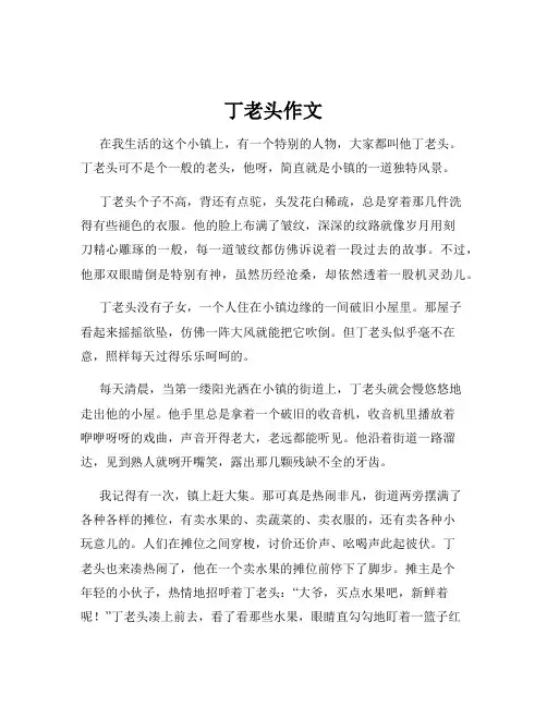 丁老头作文