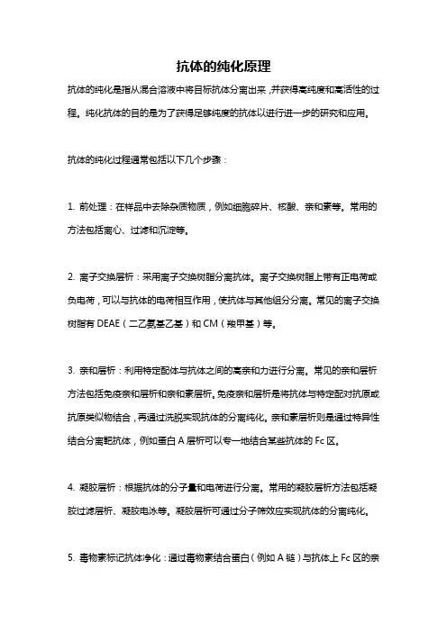抗体的纯化原理