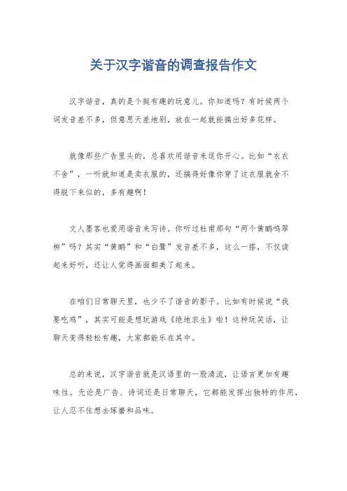 关于汉字谐音的调查报告作文
