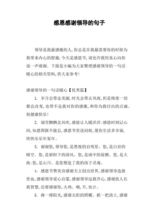 感恩感谢领导的句子