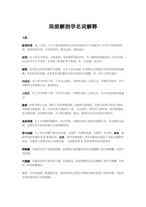 局部解剖学名词解释