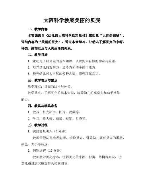大班科学教案美丽的贝壳