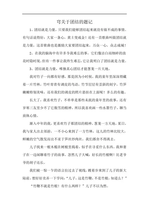 穹关于团结的题记