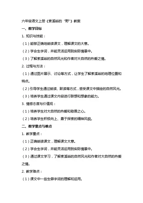 六年级语文上册《索溪峪的“野”》教案