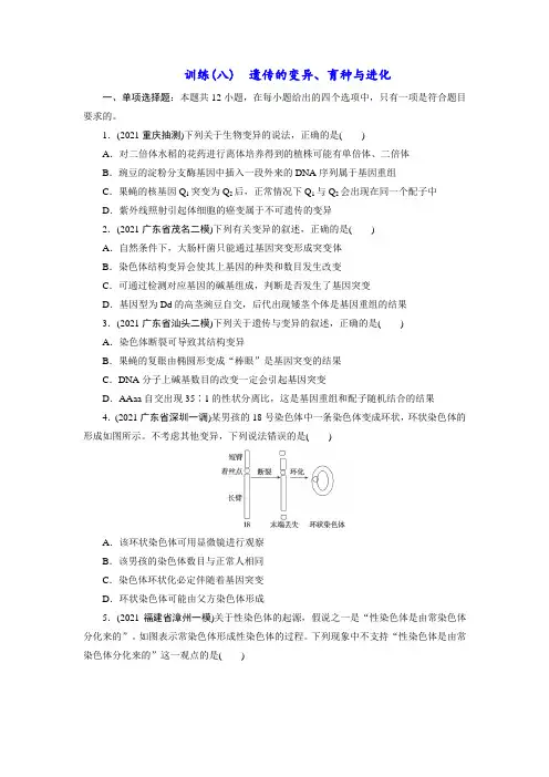 新高考生物专题训练3—遗传：第8讲 遗传的变异、育种与进化(学生版含答案详解)